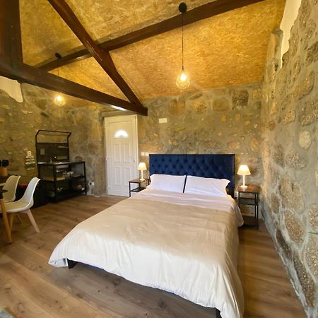 Casa De Pedra Em Vinha No Dao Villa Nelas Eksteriør billede