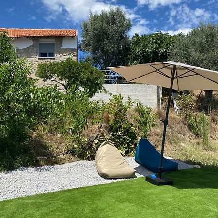 Casa De Pedra Em Vinha No Dao Villa Nelas Eksteriør billede